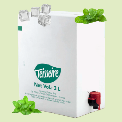 SIROP DE MENTHE BIB 3LX1