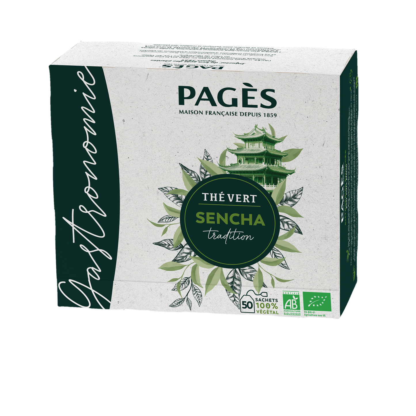 PAGES THE VERT SENCHA X5