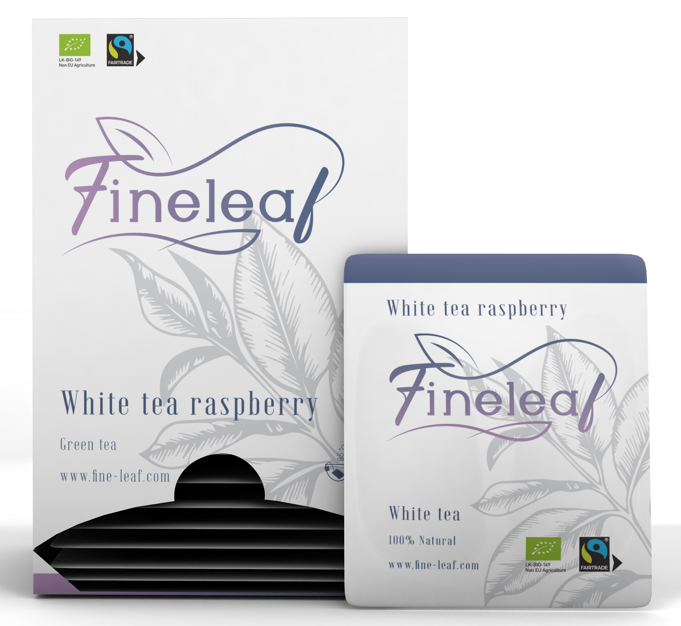 TEA FINELEAF WHITE RASPERRYX12