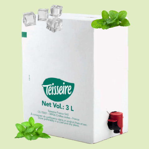 SIROP TEISSEIRE MENTHE BIB 3L X1